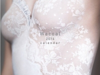 2014ワコール カレンダー